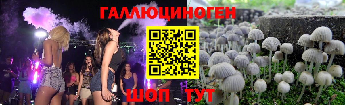 Псилоцибиновые грибы Cubensis  Галлюциногенные грибы Psilocybine cubensis  Ковров  где найти наркотики  Вход с VPN 