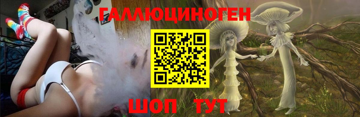 Псилоцибиновые грибы Magic Shrooms Ковров